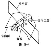 οƽ桢 - ֲγߴ - ֪ʶ - Ԫ